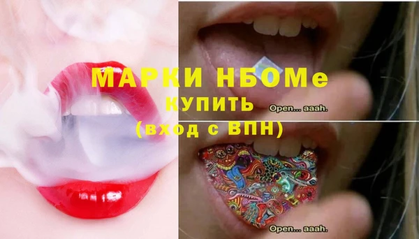 хмурый Алексин
