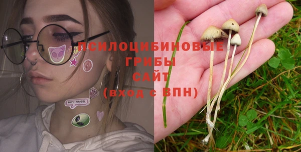 хмурый Алексин