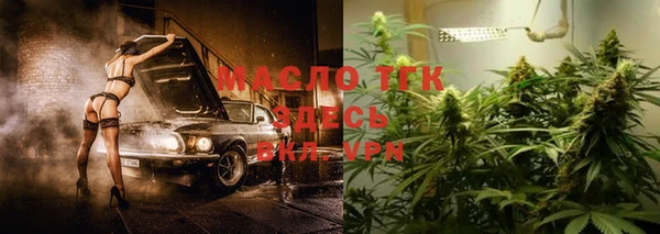 хмурый Аркадак