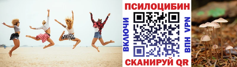 Купить где  Биробиджан  Галлюциногенные грибы Magic Shrooms 
